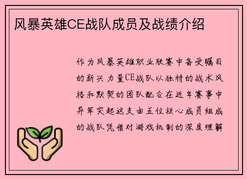 风暴英雄CE战队成员及战绩介绍
